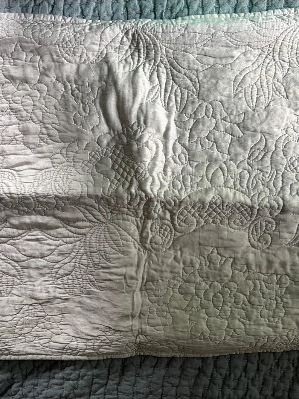 Pottery Barn duvet and shams with Subtle Floral design